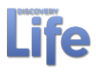 Discovery Life